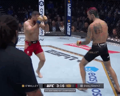 Merab Dvalishvili - Sean O'Malley